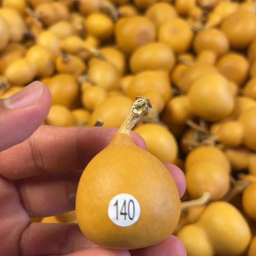 六葫芦葫芦葫芦葫芦140