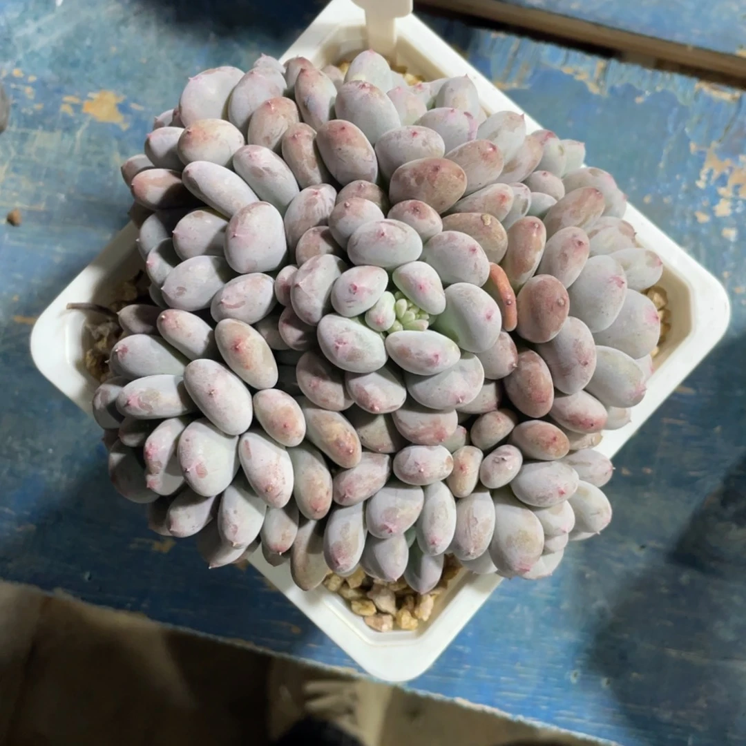 未***。一物一拍中通快递