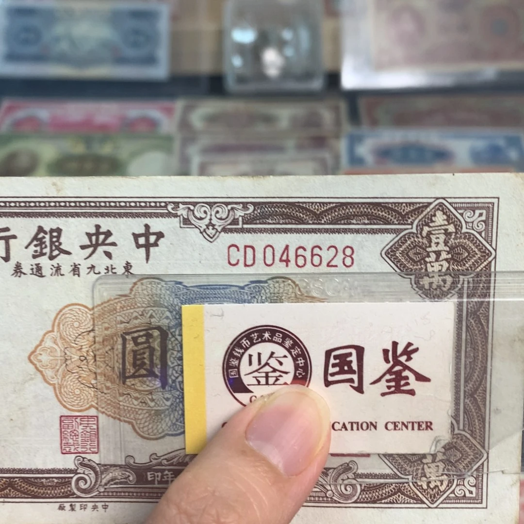 纸046628………………………………