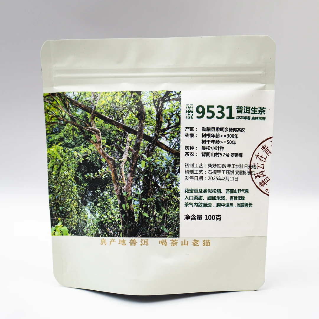 9531森林茶成化蜜兰韵 100克饼 CAT04196