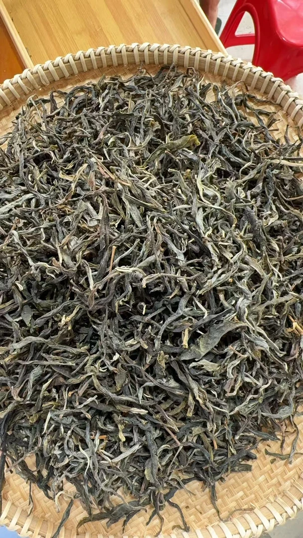 【481】2025年 懂过 单株头春 生茶 散茶