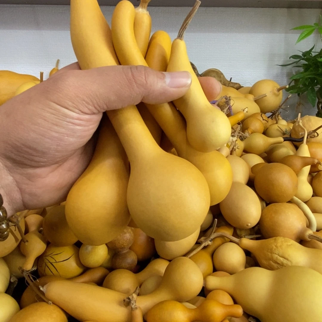 C***毅直播间链接，文玩葫芦