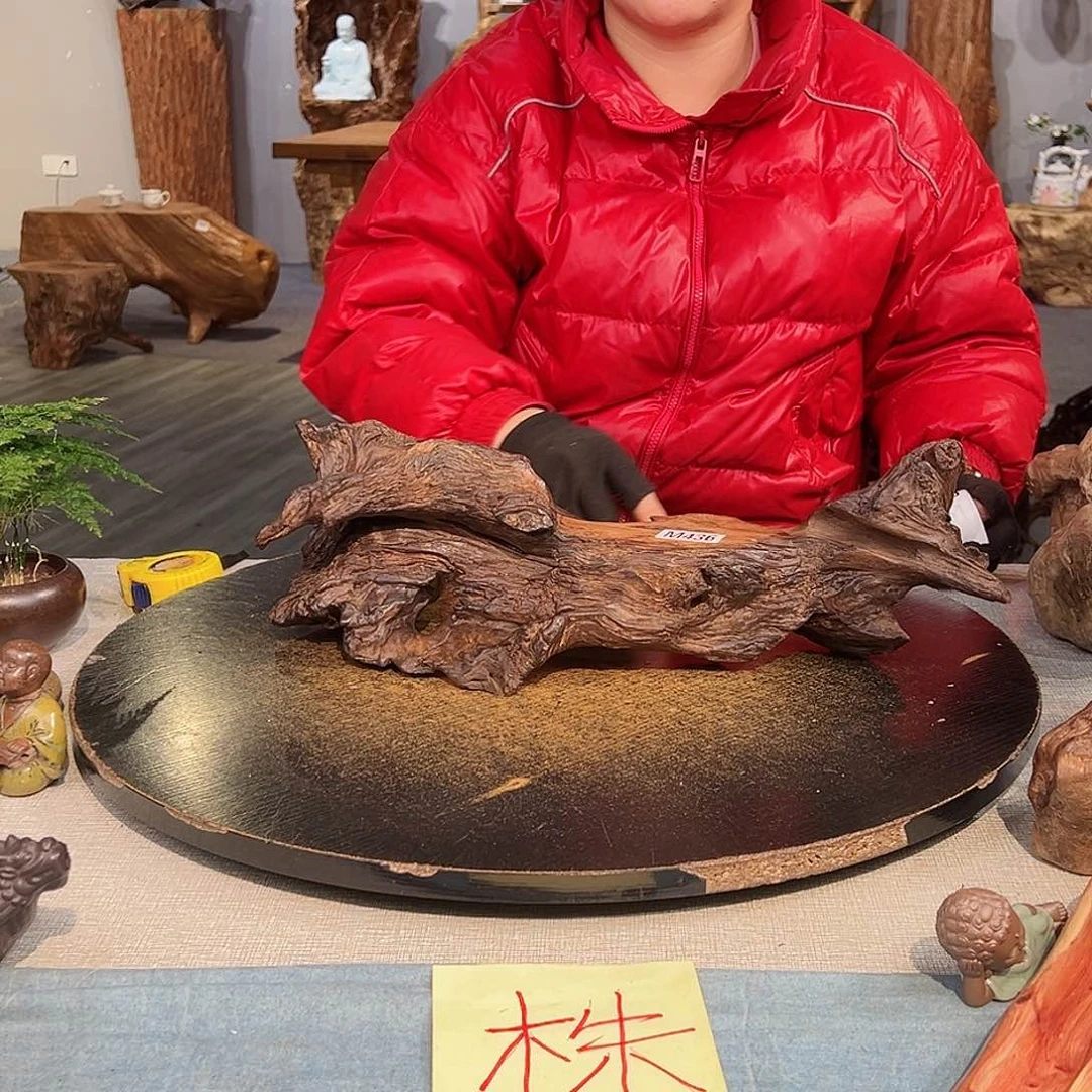 木环*436 hvhvhvbbhggcvgg