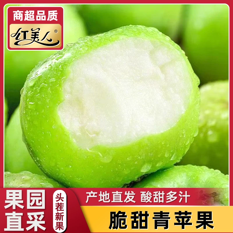 【新品上市】头茬山西青苹果4斤 新鲜水果现摘酸甜清脆孕妇水果