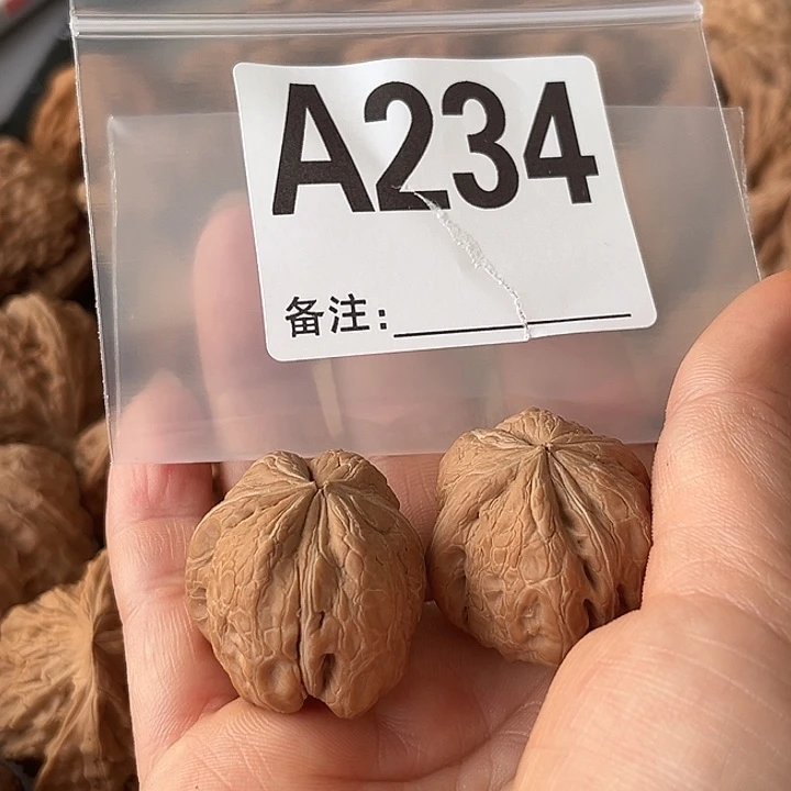 人***。文玩核桃把件元宝异性