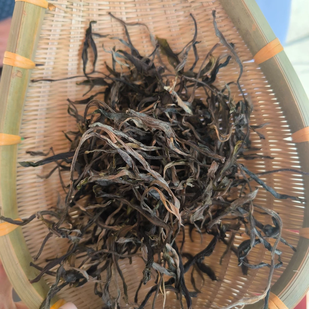 刘安国 核桃林助农直播2025年单株高品生普古树普洱