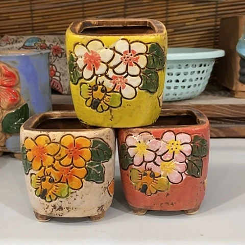 【闪购商品】红陶1