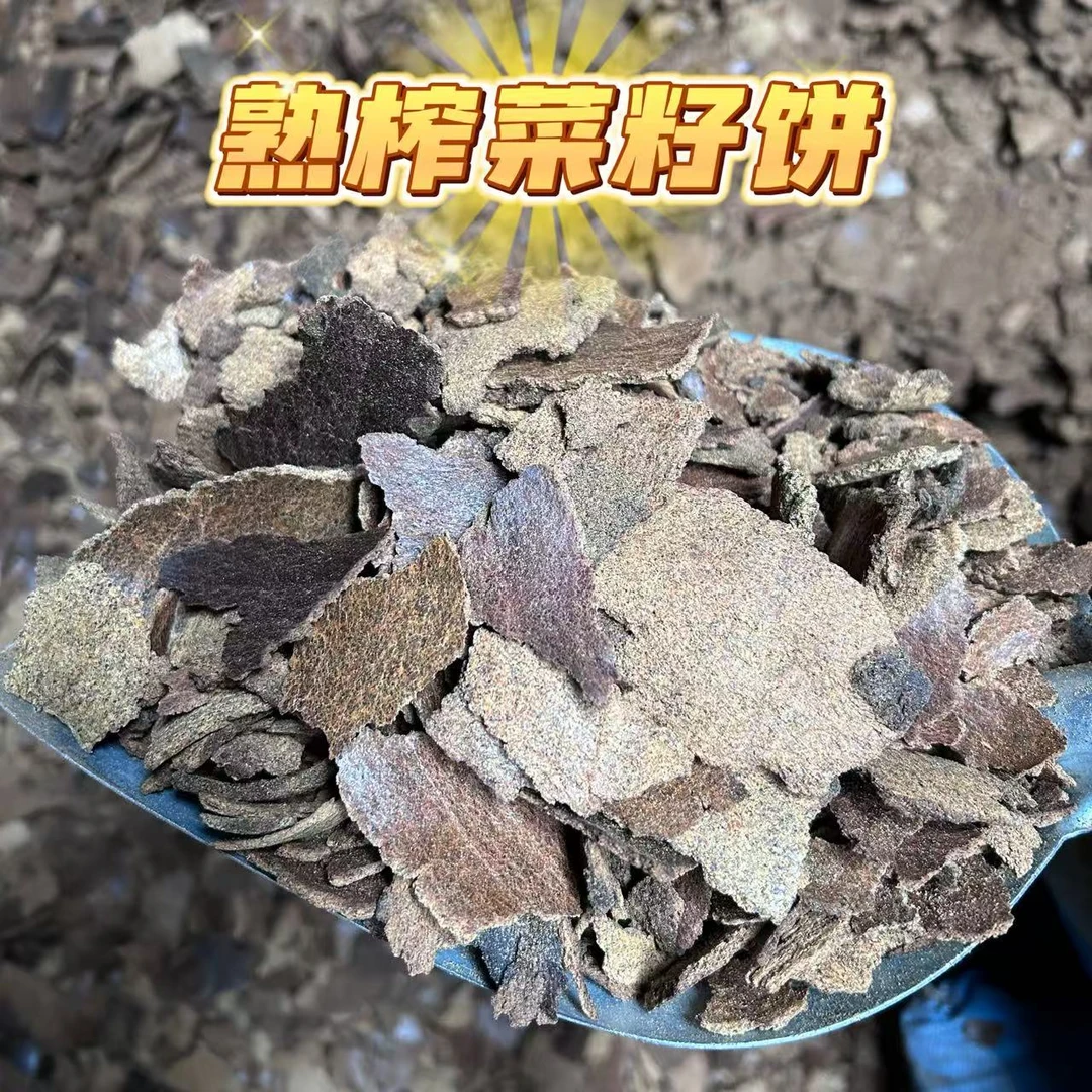 非转基因熟榨菜籽饼油枯种花种菜种瓜果钓鱼打窝优质植物营养肥料