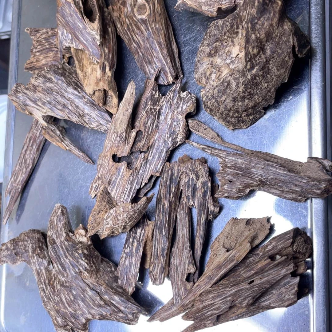 脖***拧40.9克海南尖峰树心虫漏