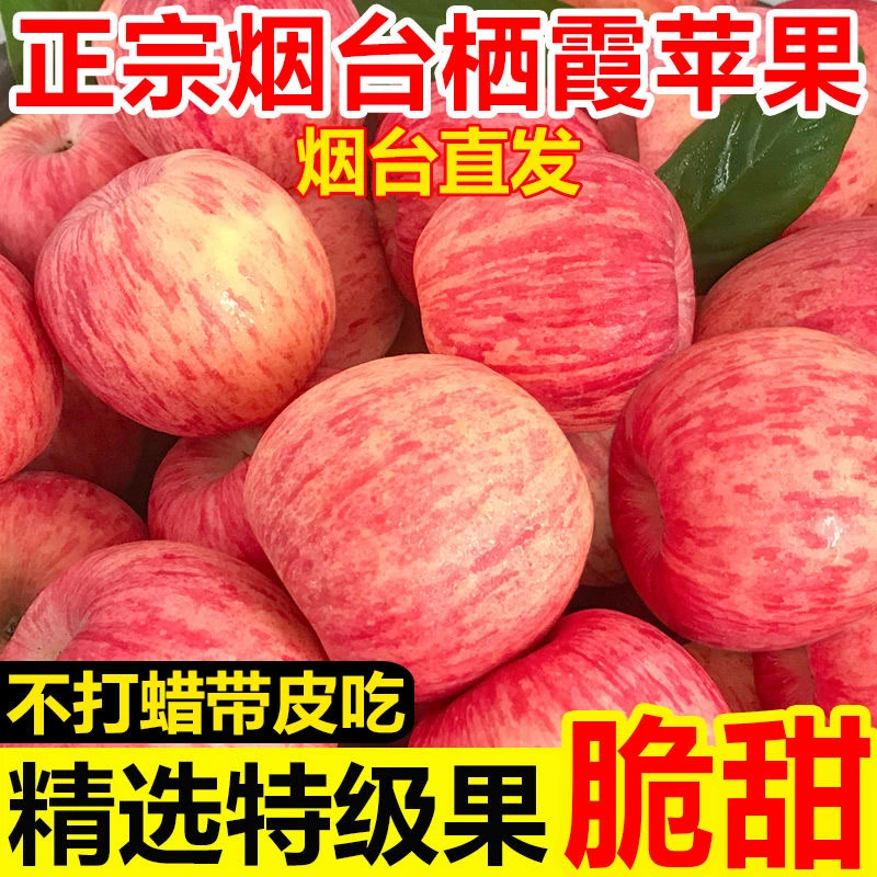 正宗山东烟台红富士苹果脆甜栖霞新鲜苹果水果批发一整箱