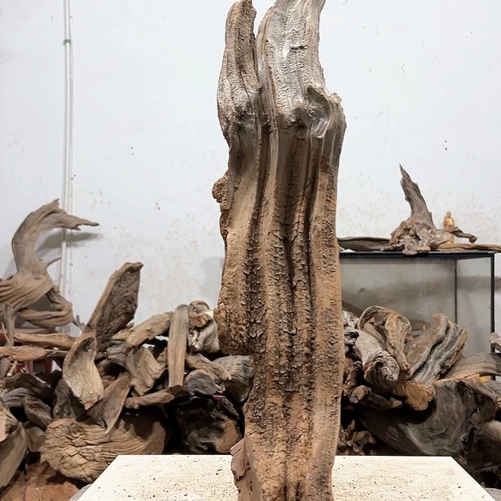 柏木不**问我们的生活也是如此