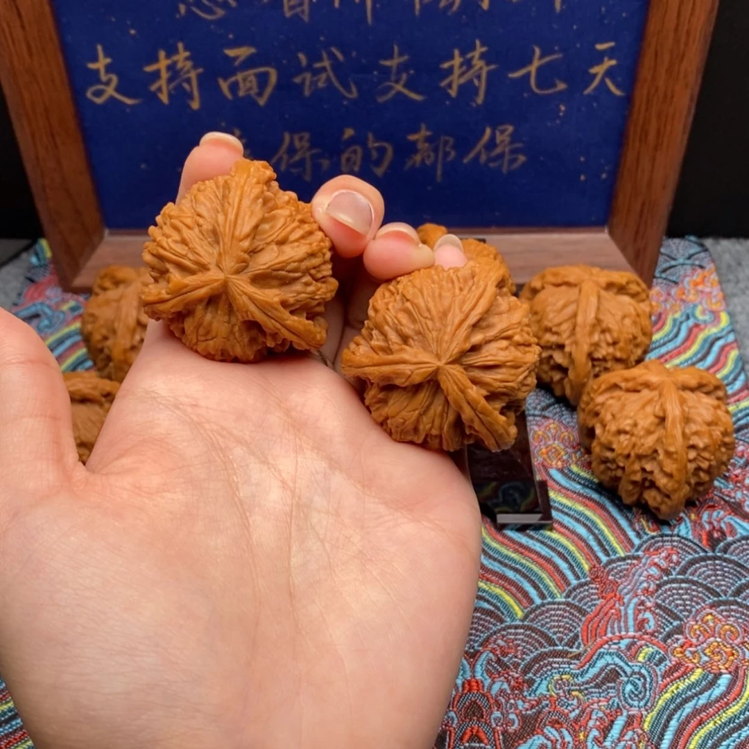 【闪购商品】凡*林白狮