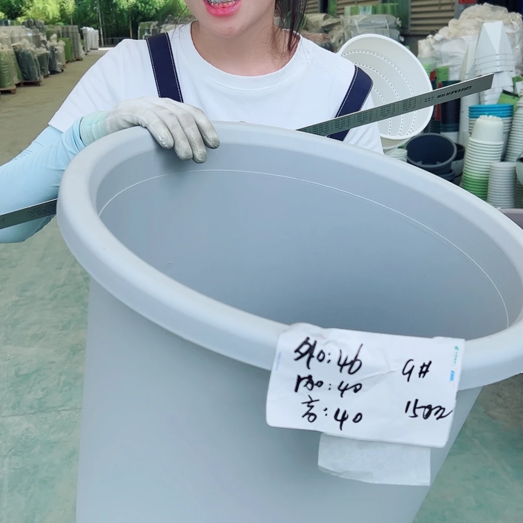 四季盆9#灰白4个无托