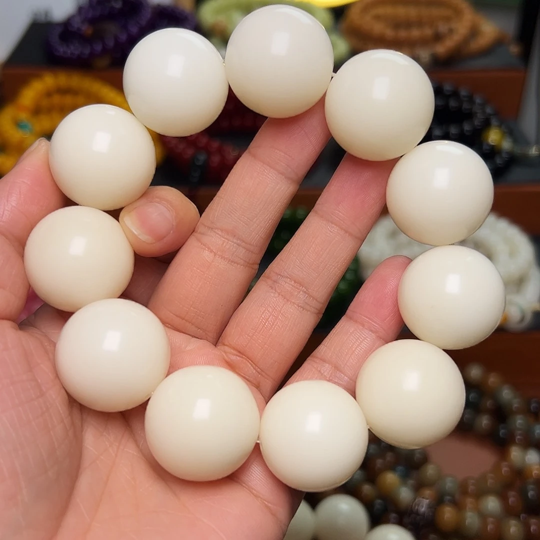 菩提根/象牙果手串