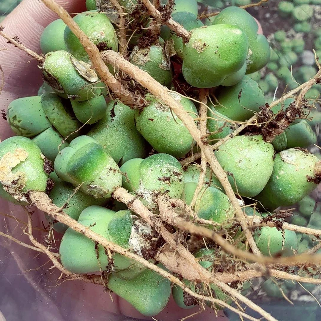 美***活我想说什么我没办法吗不146