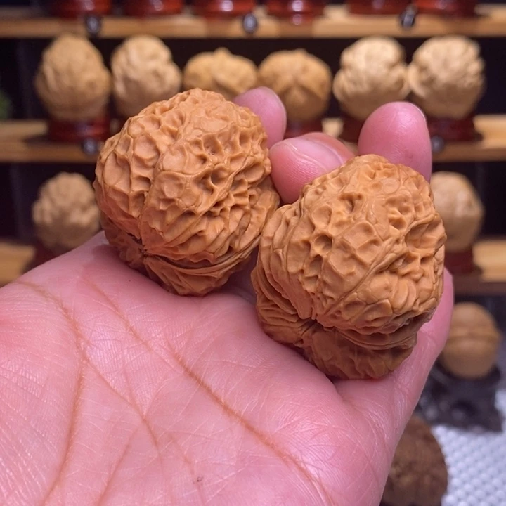 木质类云铁元宝蟾37号