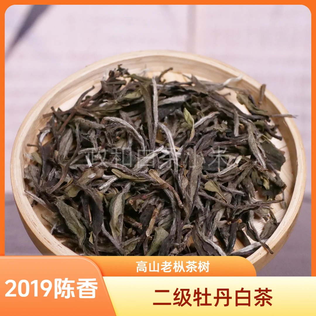 2019荒野白牡丹头春头采政和白茶韵味厚实老树