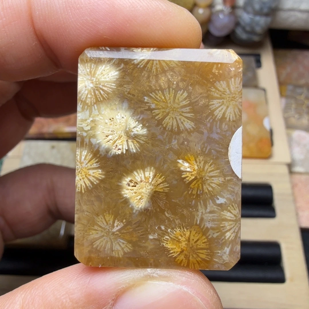 硅化玉未镶嵌纯天然色有机玉石保真色