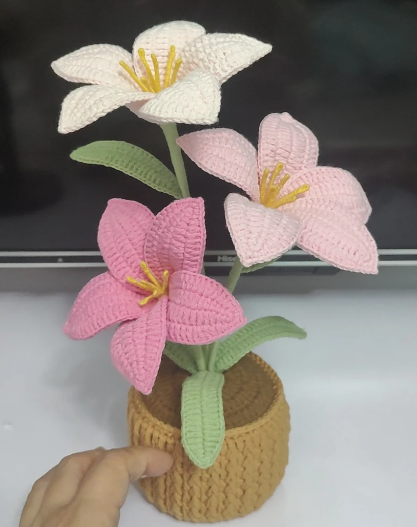 红火手工坊毛线编织鸡蛋花盆栽高级钩织礼物防真花束盆DIY材料包