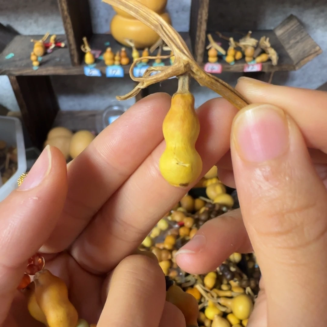 小***啦葫芦打孔后不退不换！