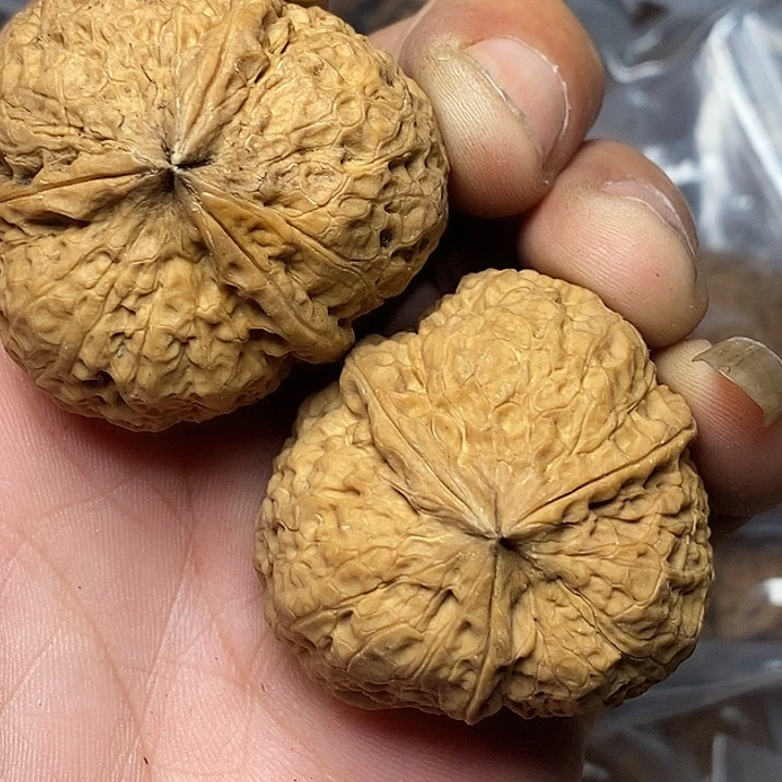 文玩核桃把件云南铁核桃23