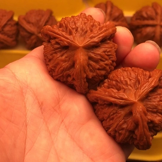 唐***英核桃核桃核桃核桃