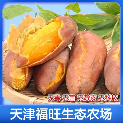 生态烟薯9斤[糖心流油无丝]