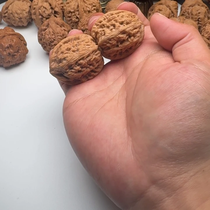 木质类红锦鲤全品