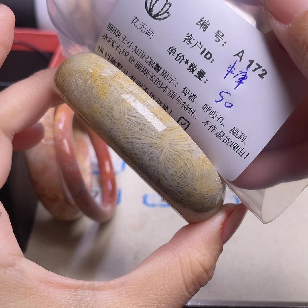 中***庸硅化玉未镶嵌手镯