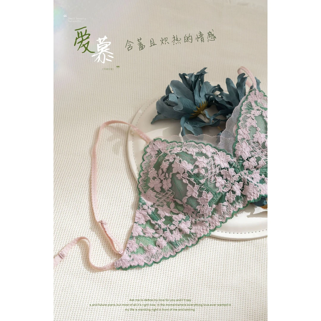 法式浪漫蕾丝美背内衣三角杯内衣大胸显小无钢圈文胸薄款透气2545