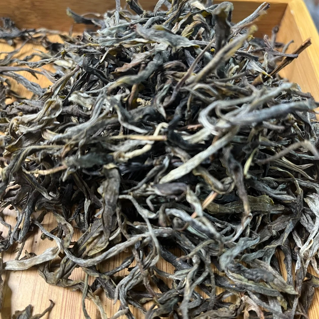 【2.27】滚上山古树2024年头春  普洱茶生茶 散茶500g/袋 【146号】