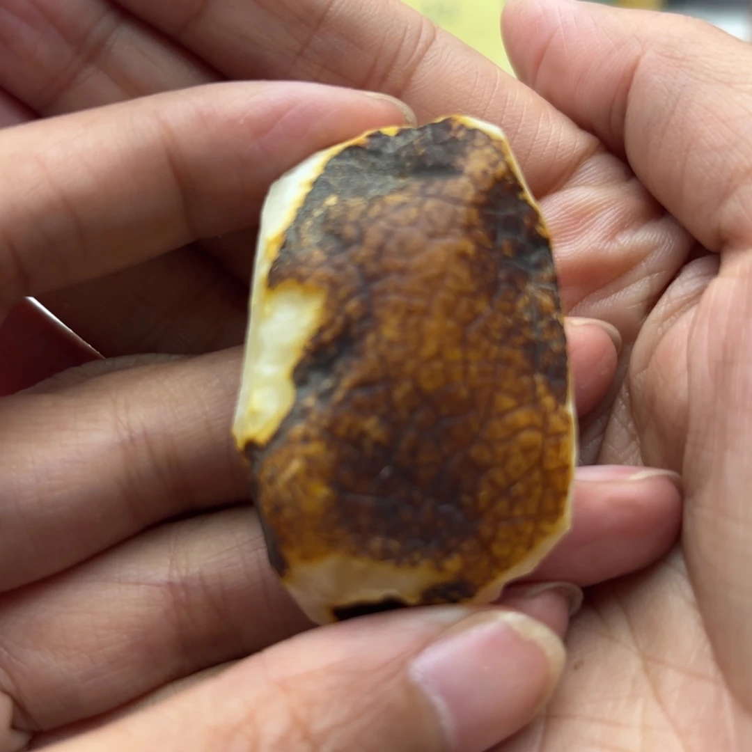 定制琥珀未镶嵌习*琥珀