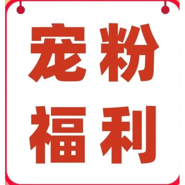 【老王多肉】宠粉福利组合 精品多肉植物批发