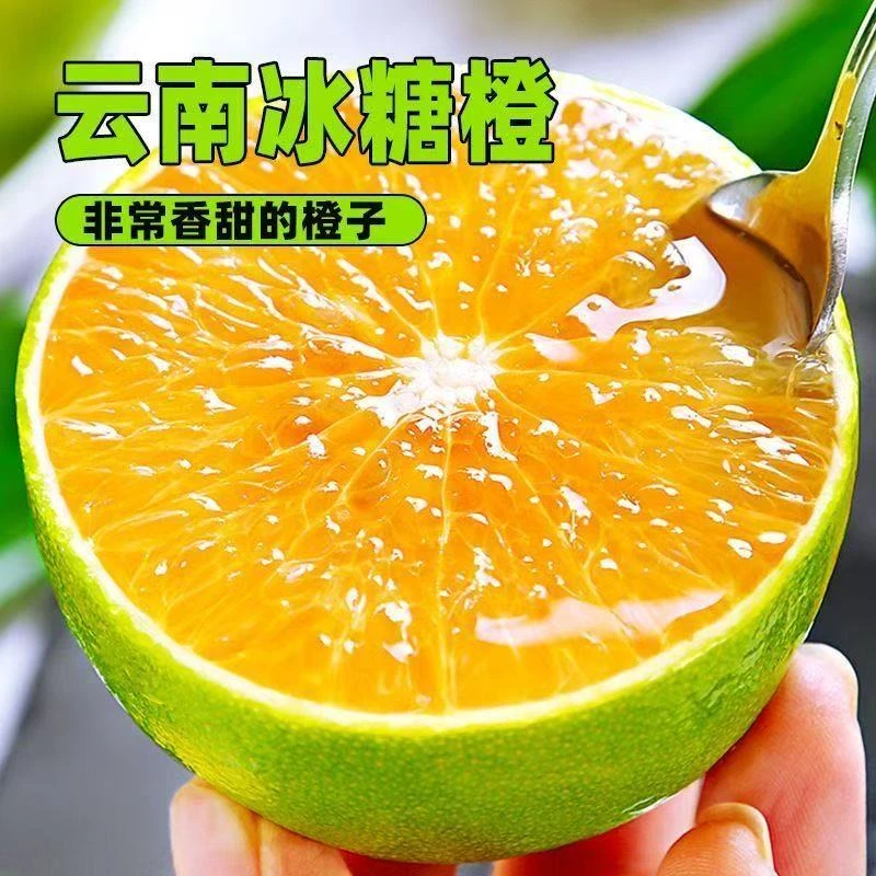 云南哀牢山青皮冰糖橙新鲜应季水果现摘现发皮薄多汁清甜