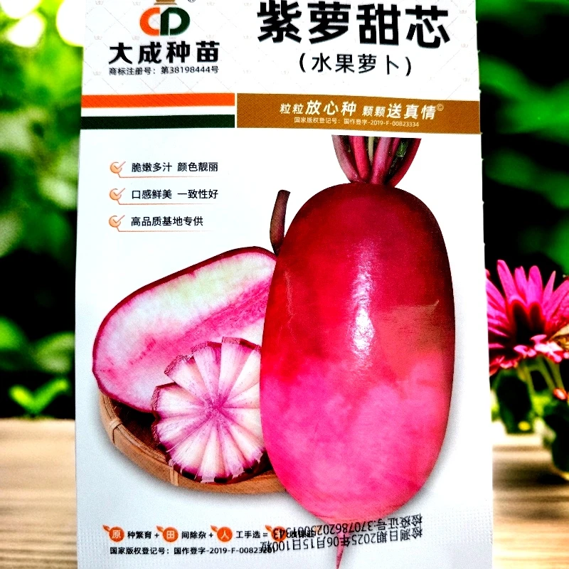 紫萝甜芯萝卜籽100粒左右