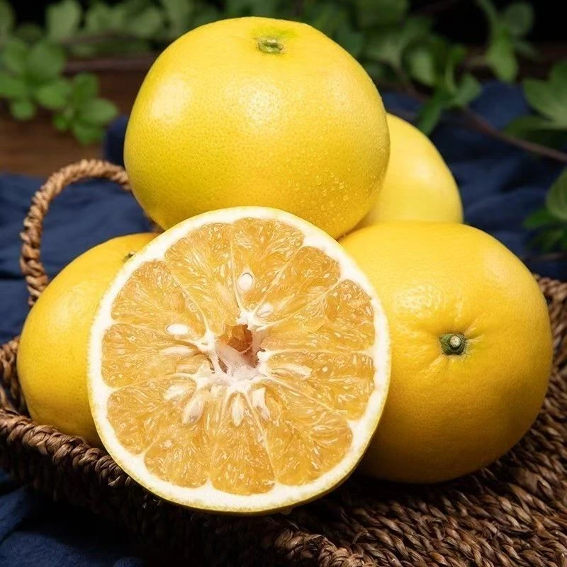 【新鲜采摘】福建爆汁黄金葡萄柚当季水果产地直发现摘口感甜水分足