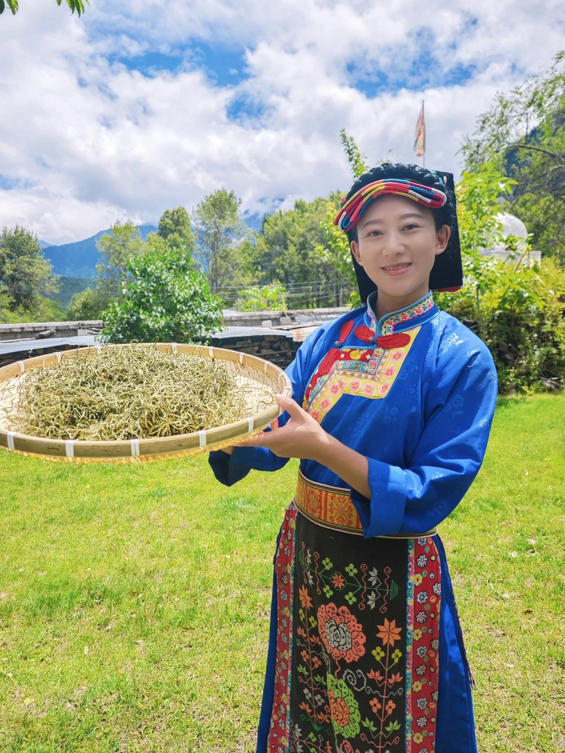 【西藏现摘】波密原始森林山货化石草  100克 1袋