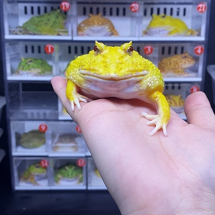 特价秒杀一切顺利