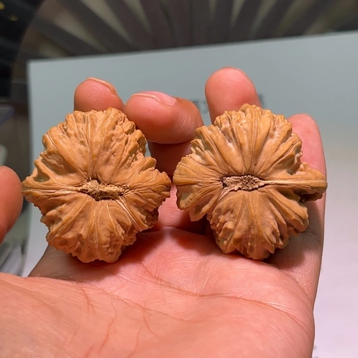 九***焕把件文玩核桃白狮子异形