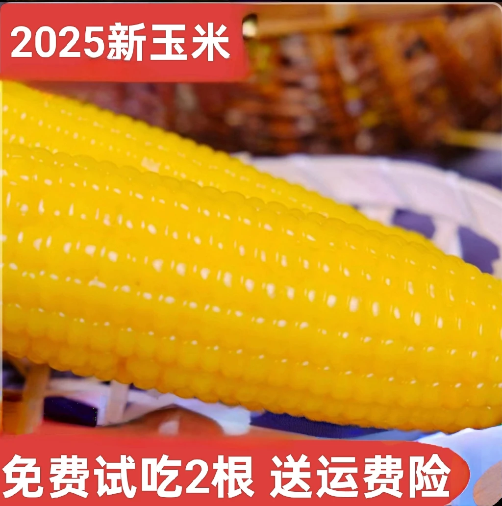 金佰程东北真空黄糯玉米8根+赠2根(6斤左右)试吃两根不满意包退