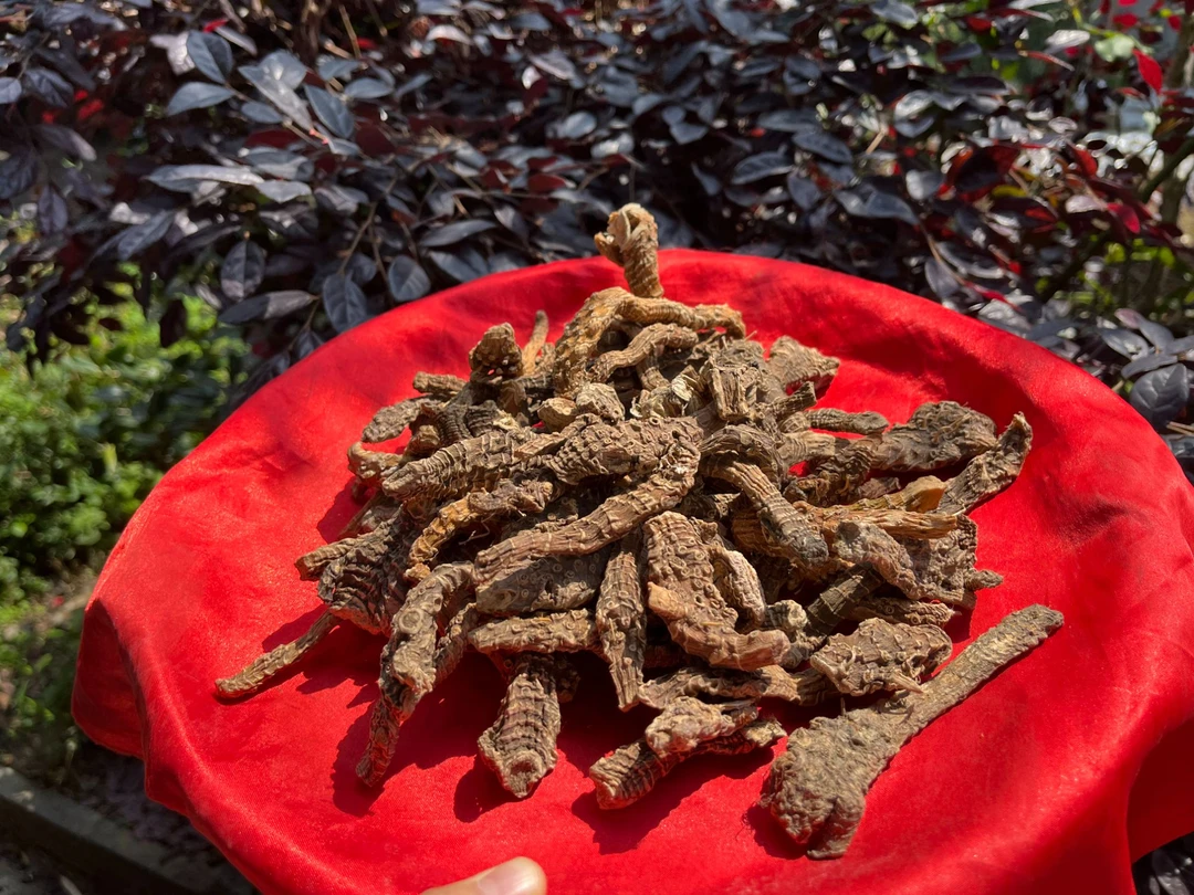 1【阿-勃-参】净含量：250g-1500g【阿徐现收】