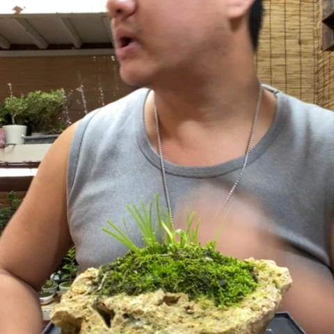 红陶一物一拍所见即所得91