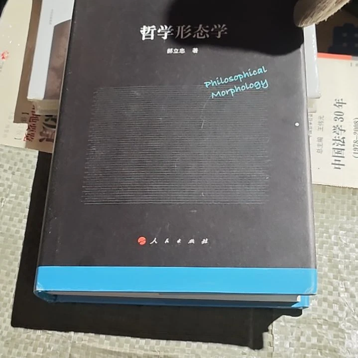 哲学形态学瑕疵品瑕疵品