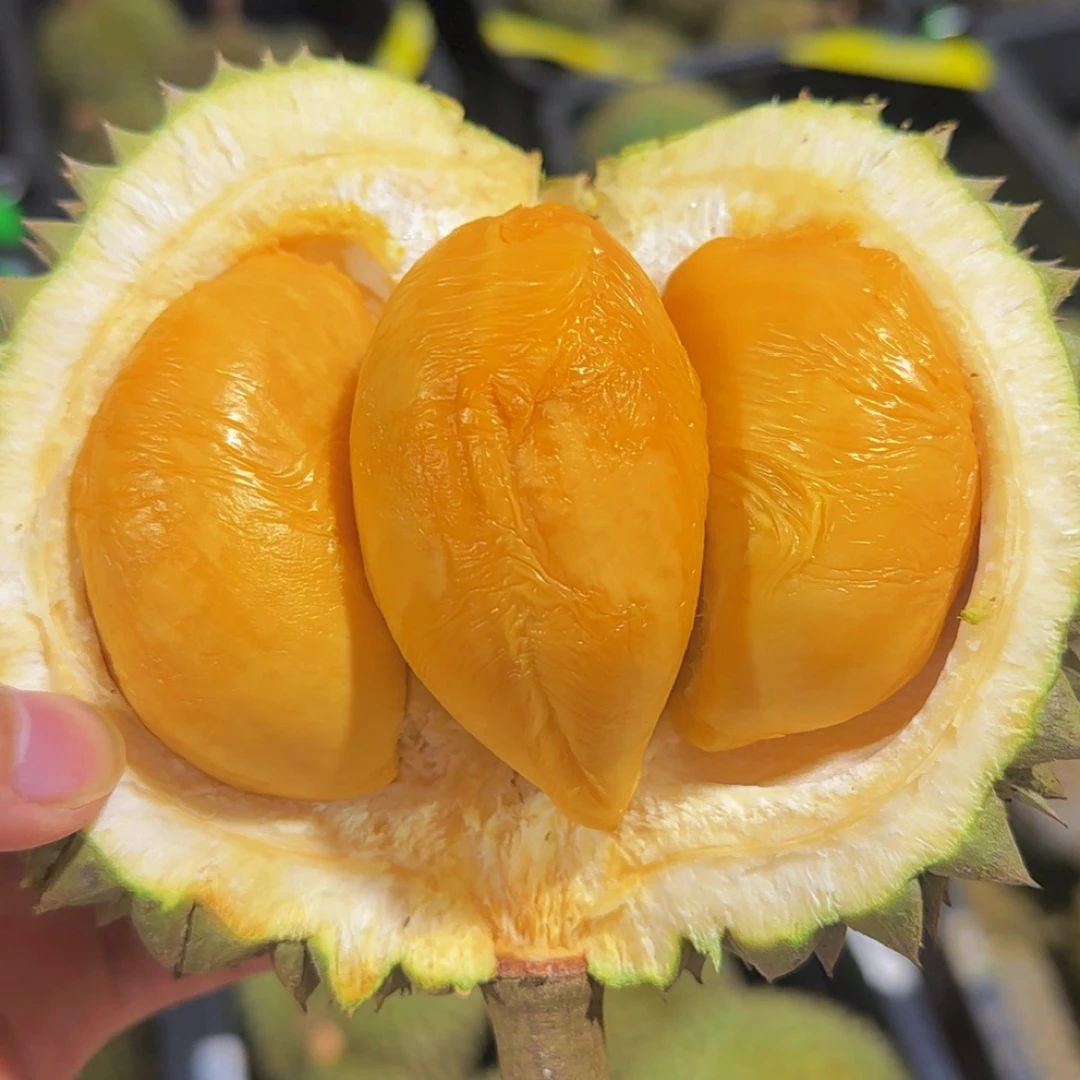 优选2粒一共保8房鲜果黑刺D200马来西亚直飞