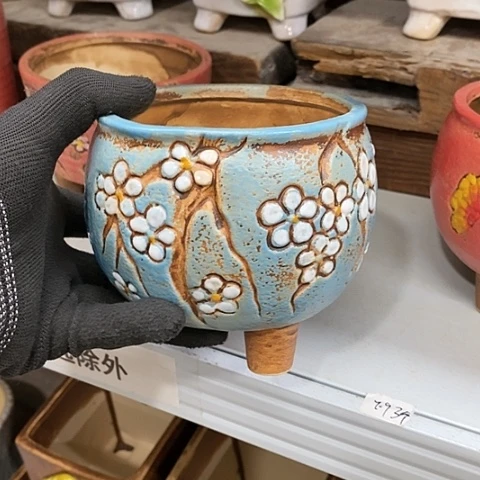 【闪购商品】红陶1