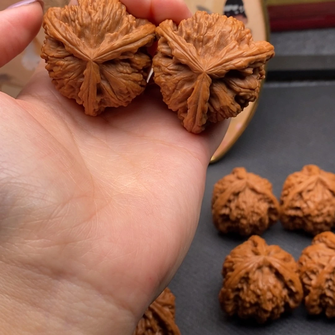 㞮*白狮子1111111111