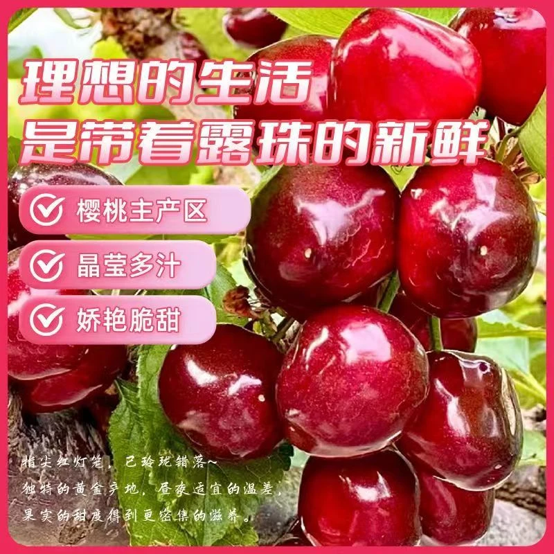 新鲜美早大空运直达脆甜果径清晰应季水果包邮