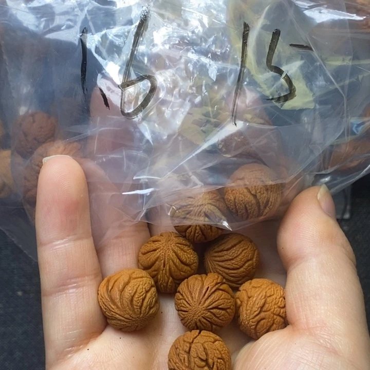 木质类秦岭山野生桃核