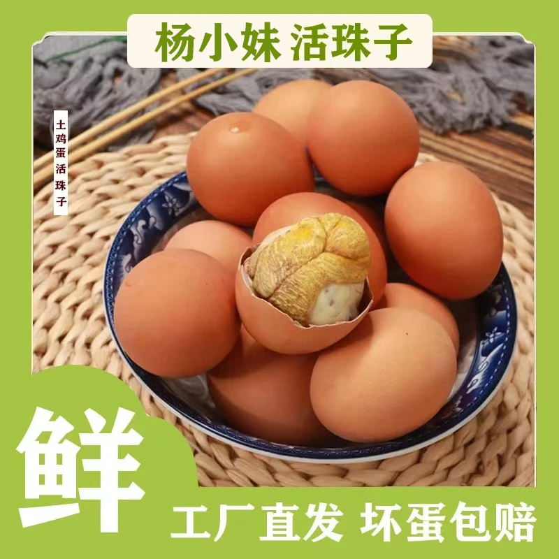 活珠子五香香辣鸡胚蛋喜蛋10-40枚新鲜