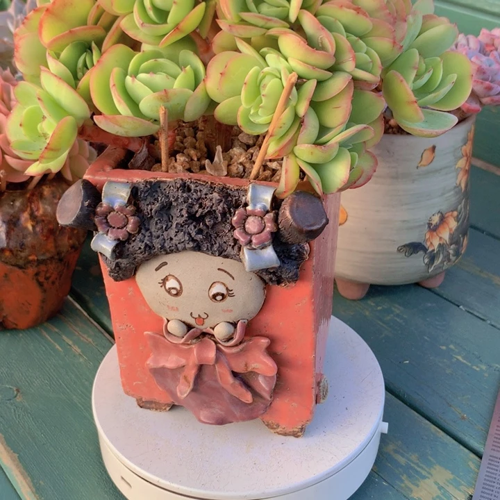 碧桃朵朵小树无砍群